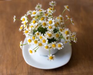 magical properties chamomile 