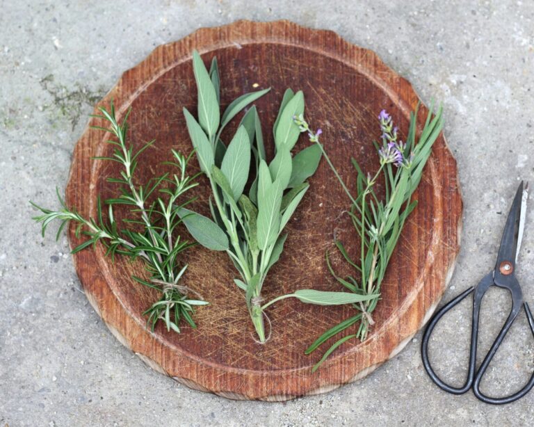 Lavender and Sage Green witch herbs