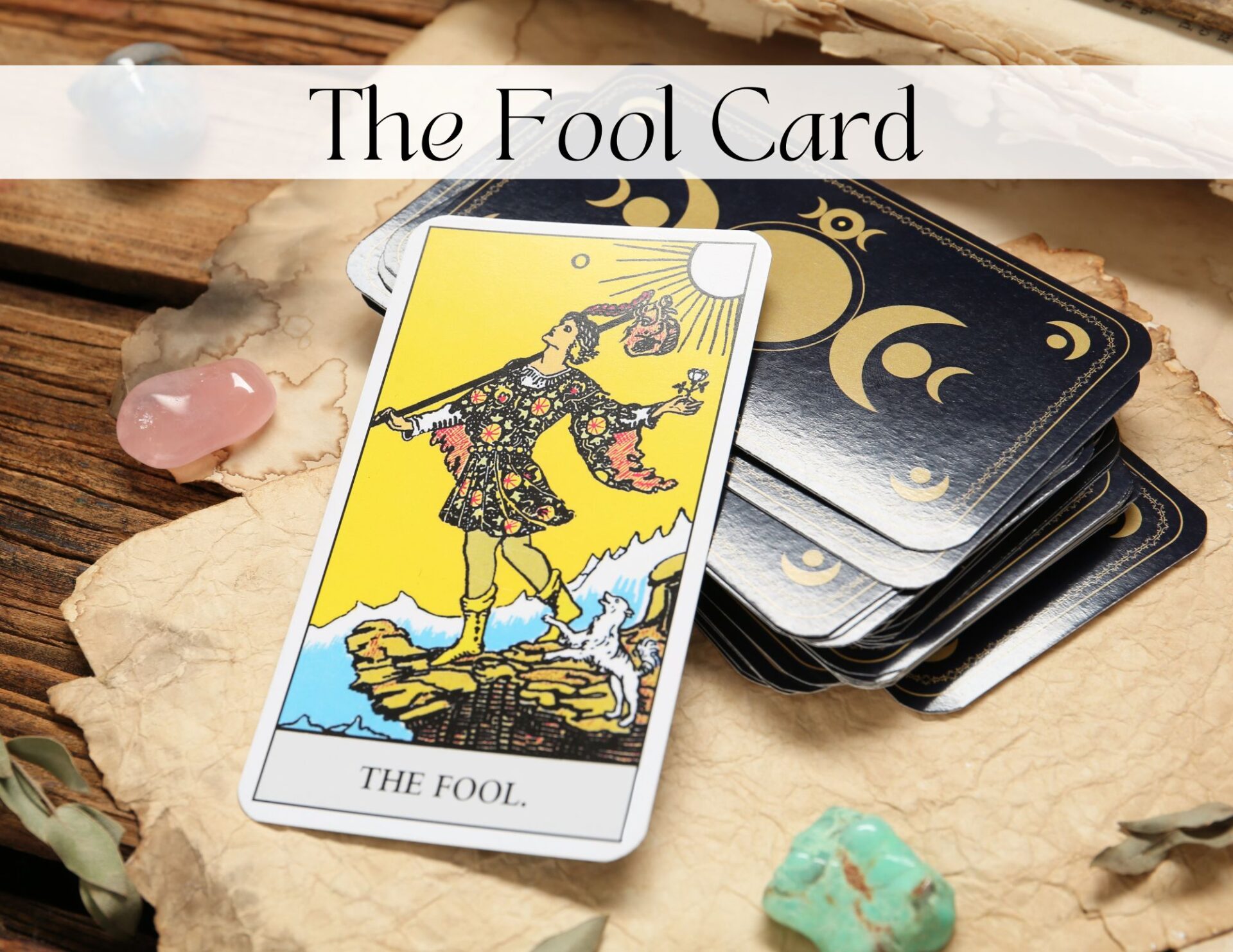 Fool Card i Tarot Meaning