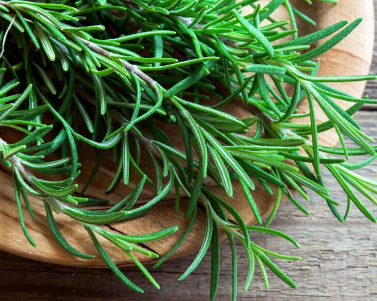 Rosemary in a wood bowl