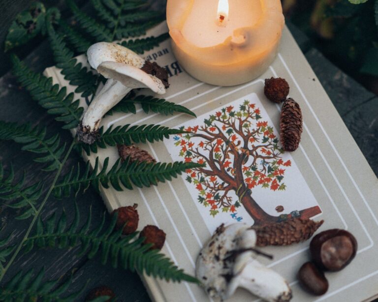 Wiccan ritual for the new moon