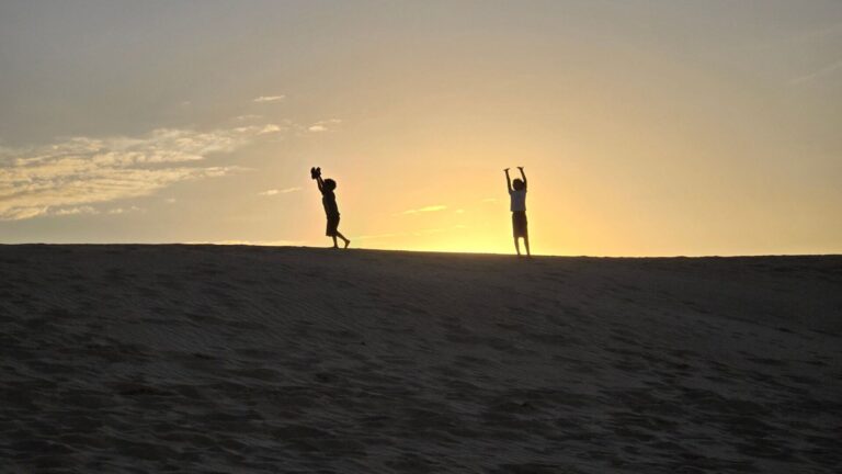 Shadows against a sunset