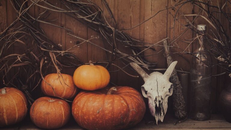 Pumpkins and a cattle skull