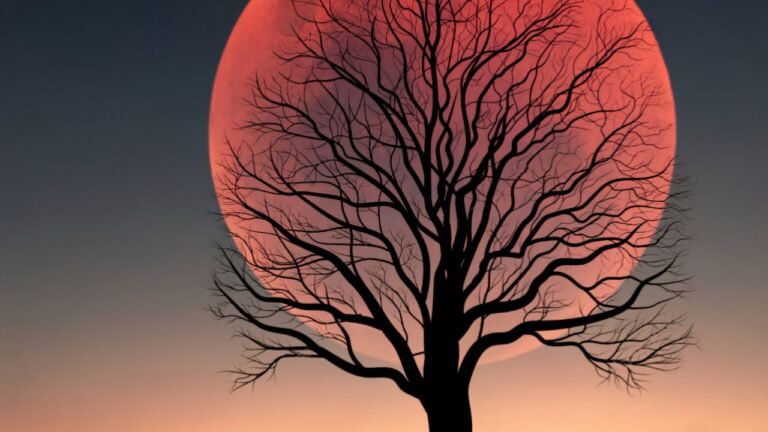 Hunter moon rising over tree