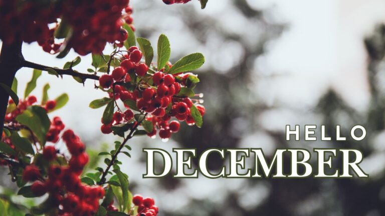 Witchy Welcome for December over red berries on a tree