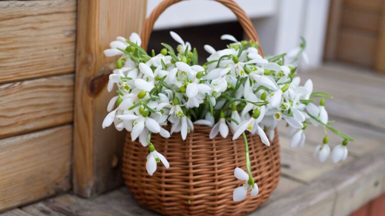 Witchy Ways to celebrate March