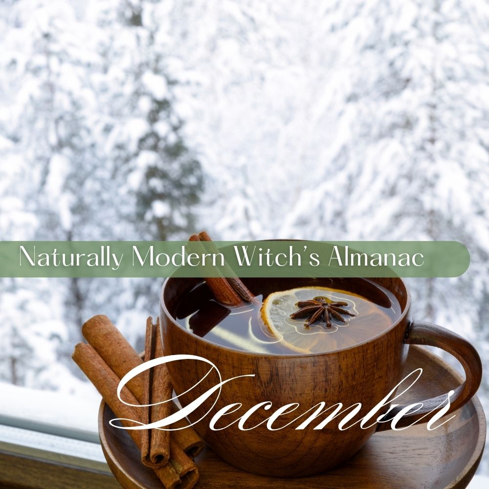Warm spiced tea with cinnamon and star anise overlooking a snowy forest, featured image for the Naturally Modern Witch’s Almanac December.